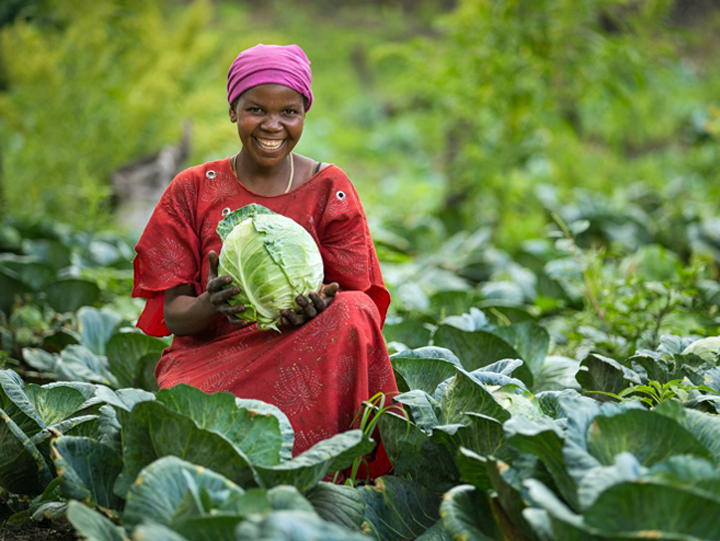 Youth in Agriculture